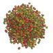 Корм Цихлида в палочках для цихлид пакет 500 мл/140 гр 226811976 фото 2