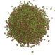 Корм Черепаха в палочках для мелких рептилий пакет 100 мл/30 гр 285501467 фото 2