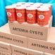 Сухие яйца артемии ARTEMIA CYSTS в банках 425 гр 2570254742 фото 6